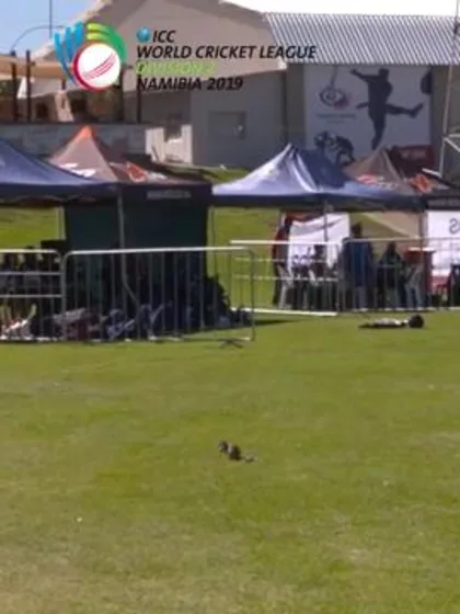 WCL 2: USA v Hong Kong – Taylor caught by teammate Kenjige!