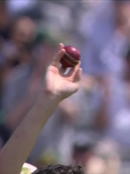 Logo of David Bedingham - Wicket - South Africa vs Australia