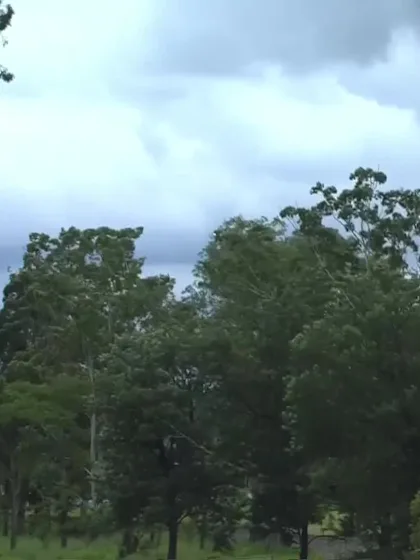 D Patel with a Six vs. England