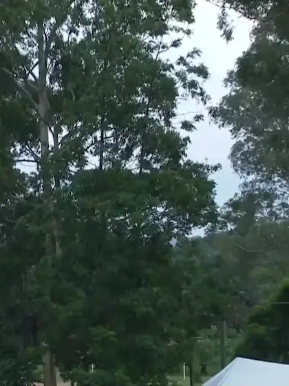 Ben Mayes with a Six vs. Scotland