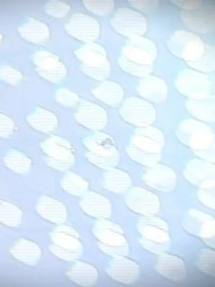 Virender Sehwag’s 175 v Bangladesh at ICC Cricket World Cup 2011