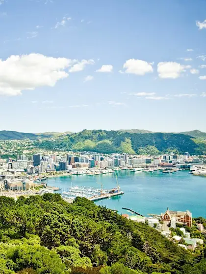 Wellington First XI: Tourist Highlights