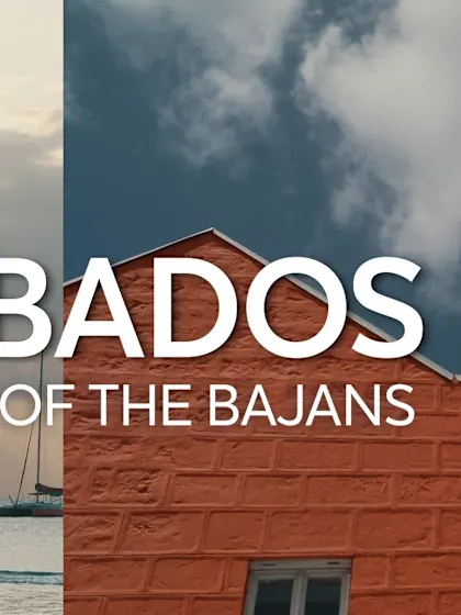 Cricket in the picturesque landscape of Kensington Oval | T20WC 2024