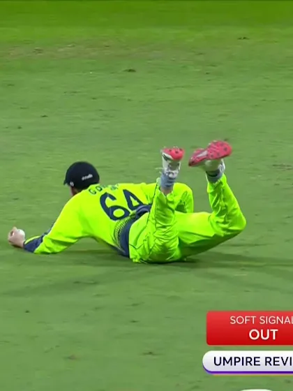 Delany takes remarkable diving catch