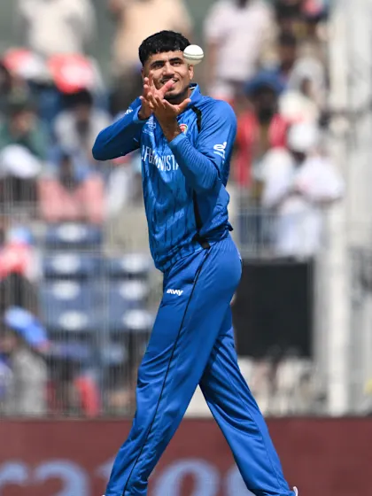 An absolute Jaffa | Sobha POTD | 8th February