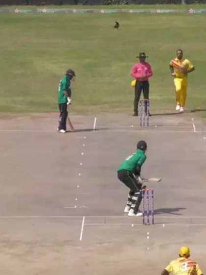 Mexico v Suriname | ICC Men's T20 World Cup 2028 Americas Sub-regional Qualifier B | Highlights