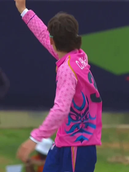 Steven Hogan - Wicket - Australia vs Japan