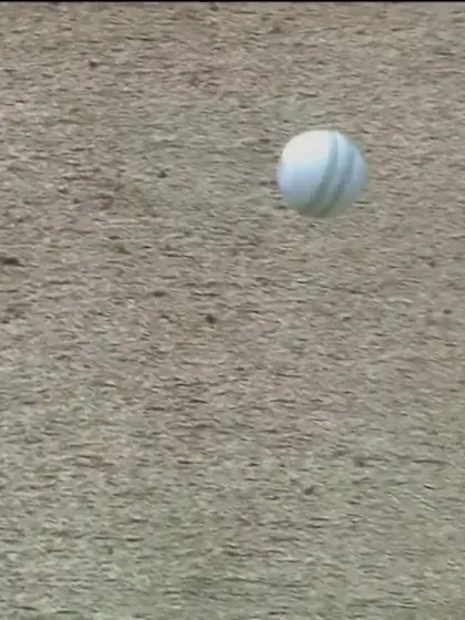 WICKET: Warner falls to Wood for 21