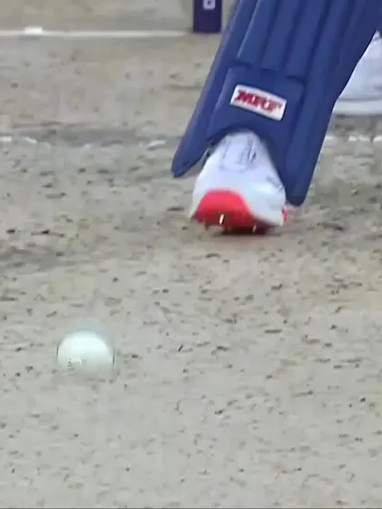 Logo of Virat Kohli - Wicket vs New Zealand