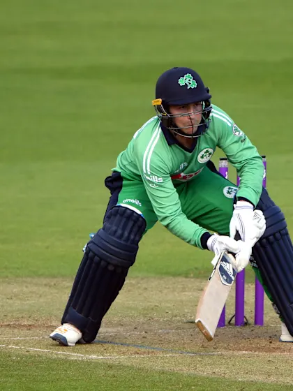 Who is Curtis Campher?