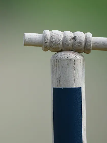 Indian teen takes all 10 wickets in an innings