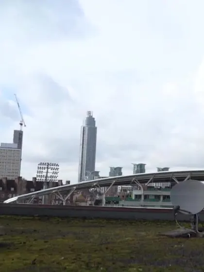 #CT17 venues – The Oval