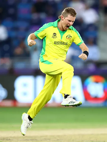 Zampa delivers yet again