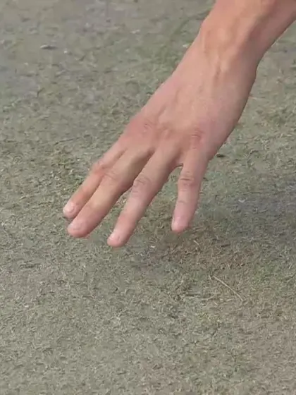 CWCQ Final - pitch report