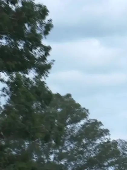 S Morgan with a Six vs. Scotland