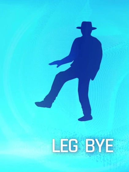 What is Cricket? – Umpire Signals