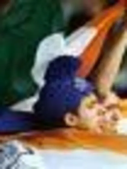 Fans get their chance to take part in the ICC Cricket World Cup 2011