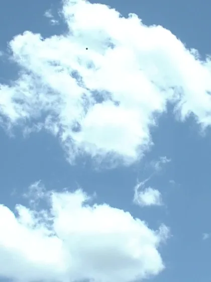 S Belle with a Six vs. Ireland