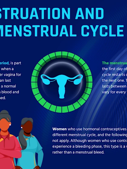 Menstruation and Menstrual Cycle Information Sheet