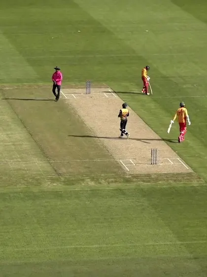 Logo of Wicket - Craig Ervine - Sri Lanka v Zimbabwe ICC T20WC 2022