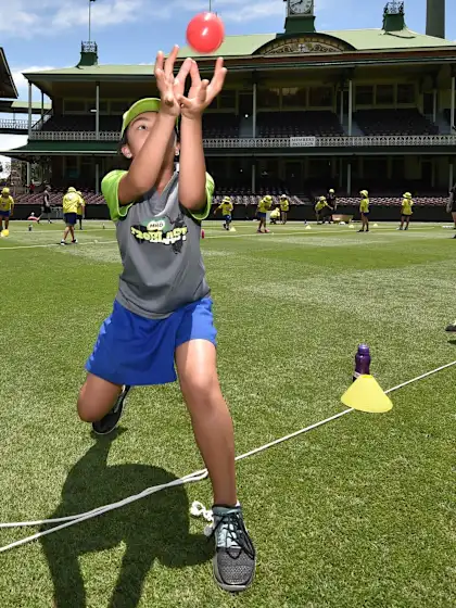 Cricket Australia pumps in big money to improve community cricket