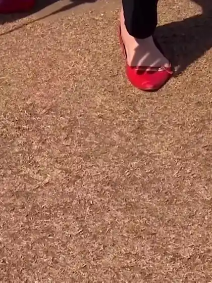 #WWC17 Australia v New Zealand Pitch report