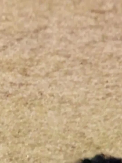 POTD: Ravindra Jadeja's delightful delivery