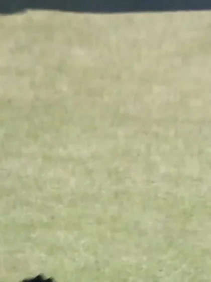 WATCH: Safyaan Sharif took 3/37