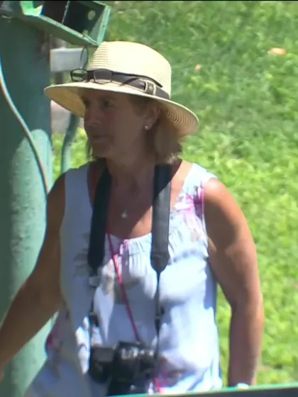 Ben Mayes with a Six vs. Bangladesh