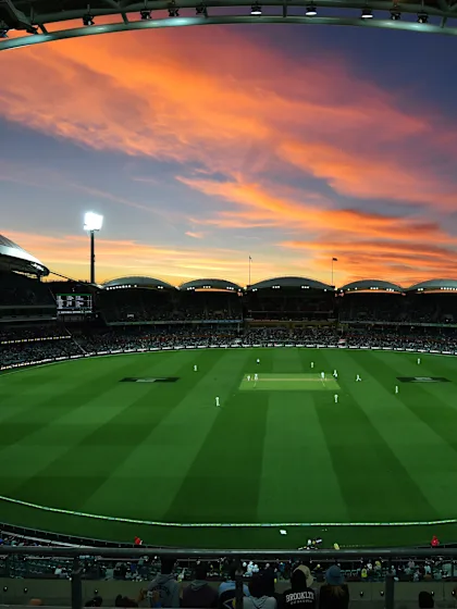 When light affected cricket