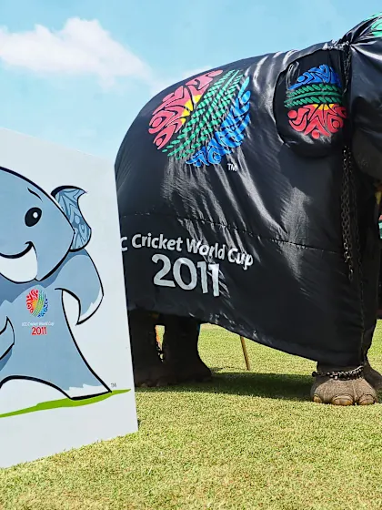 ICC Cricket World Cup 2011 mascot introduced as 'Stumpy'