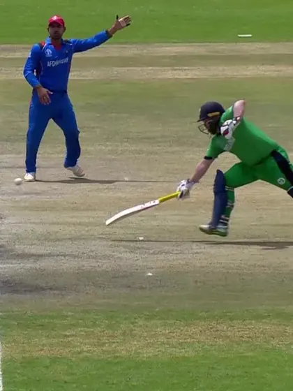 Stirling throws away his wicket with a mix-up in the middle