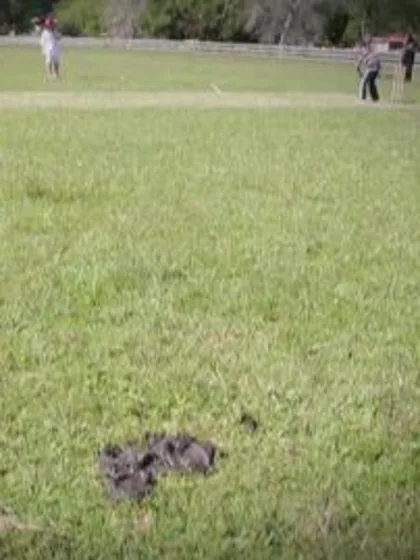 New Zealand Trophy Tour: Kaitaia