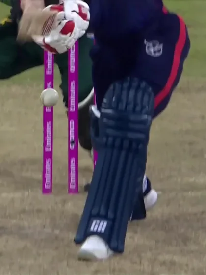 Bernard Scholtz - Wicket - Pakistan vs Namibia