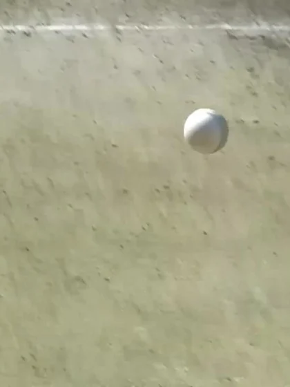 Kevin O'Brien caught by Hamilton Masakadza