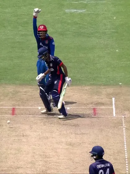 Logo of Naseer Maroofkhil with a Lbw vs. USA