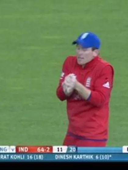 F: India Wicket Package