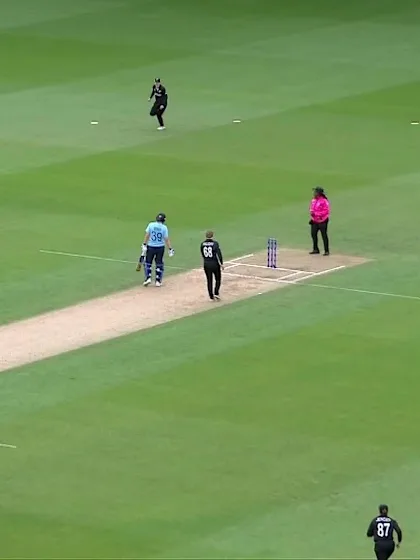 Logo of Wicket: Halliday claims the wicket of Amy Jones