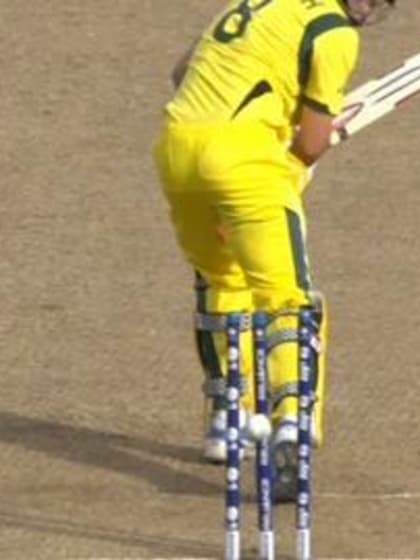 M12: Australia Wicket Package