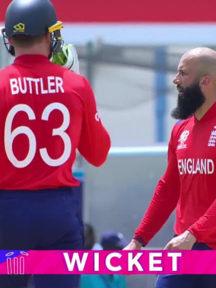 David Warner - Wicket - Australia vs England