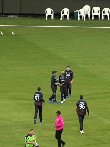 Wicket - Paul Stirling - Namibia v Ireland ICC T20WC 2022