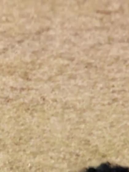 POTD: Ravindra Jadeja's delightful delivery