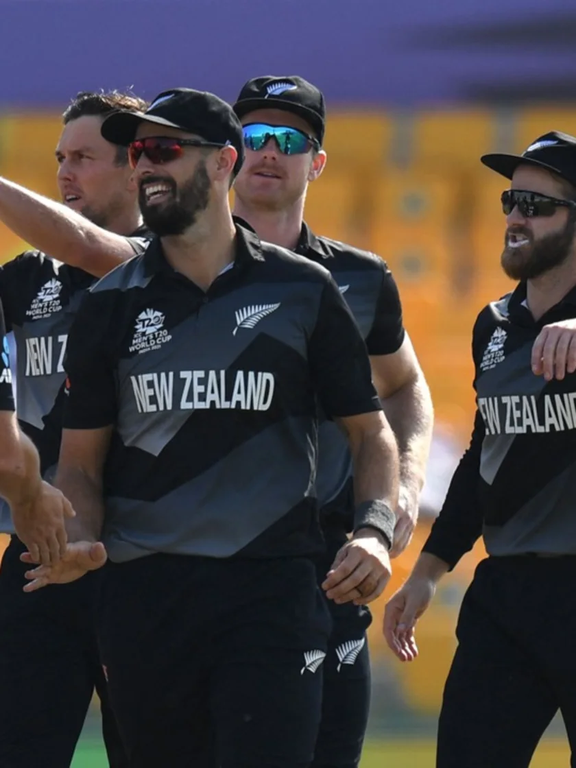 Logo of New Zealand's T20 World Cup journey